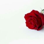 Vivre d’amour et d’eau fraîche